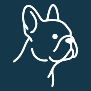 Haus Dogs connects dog owners with trusted professionals and a real local community — better care for dogs, better businesses for the people who care for them.